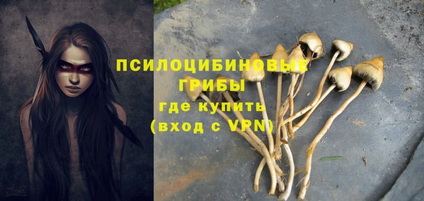 кокаин премиум Богданович